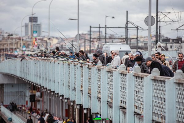 Comment le développement de la photographie en couleur a-t-il changé la perception artistique de la nature dans les années 1960 ?