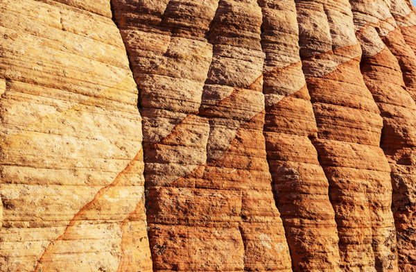 Tout ce qu'il faut savoir sur les grandes écoles de management !