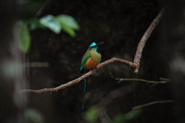 Les avantages d'un service de transport 24/7 pour l'aéroport de Lyon