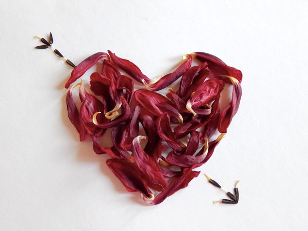 Crush ou relation amicale ? Tentez l'aventure betolerant :