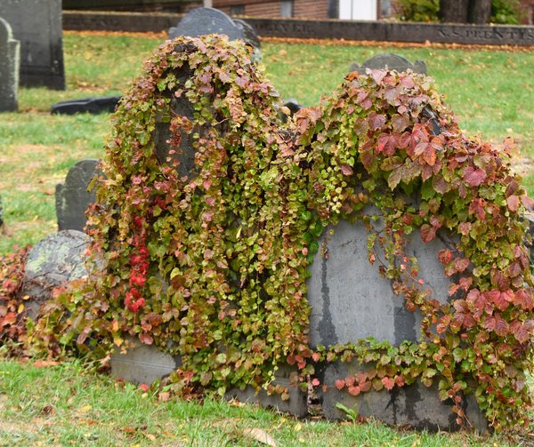 Pierre tombale : astuces de personnalisation