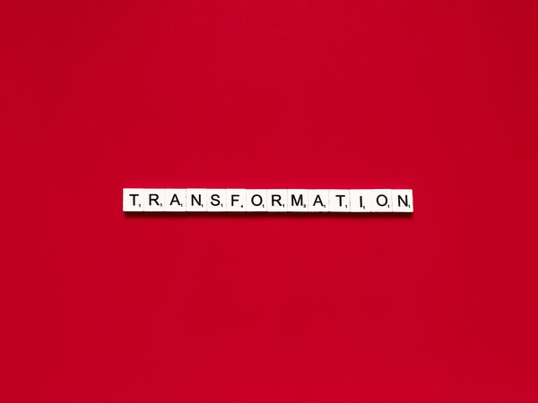 Quelle est la méthode la plus efficace pour transformer les friches industrielles en espaces verts ?